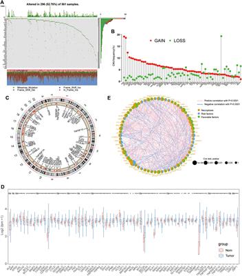 Characterization of Necroptosis-Related Molecular Subtypes and Therapeutic Response in Lung Adenocarcinoma